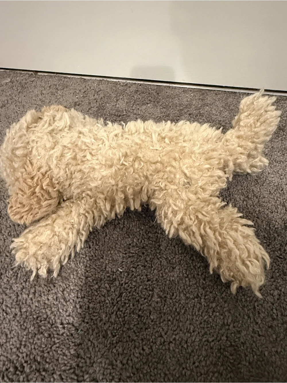 FAO Schwarz doodle puppy bichon dog shaggy fur realistic plush floppy stuffed